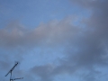 Il cielo a Porta Romana. Omaggio a Luigi Ghirri